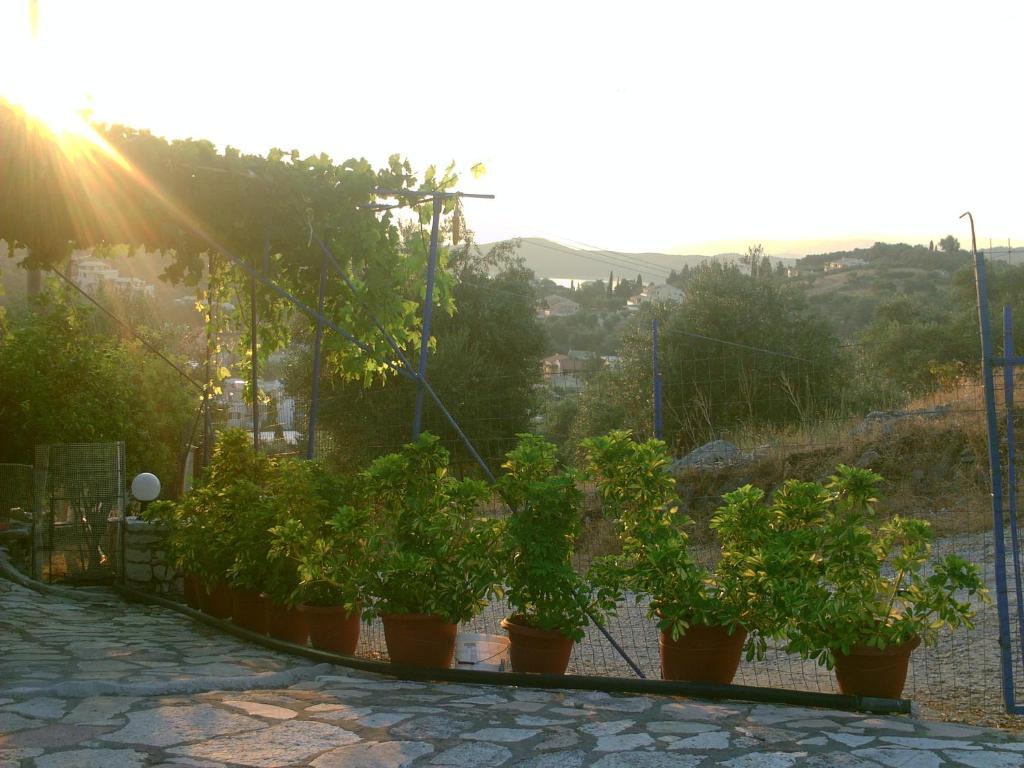 Apartament Fatiras Kassiopi